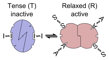 Allosteric Modulation